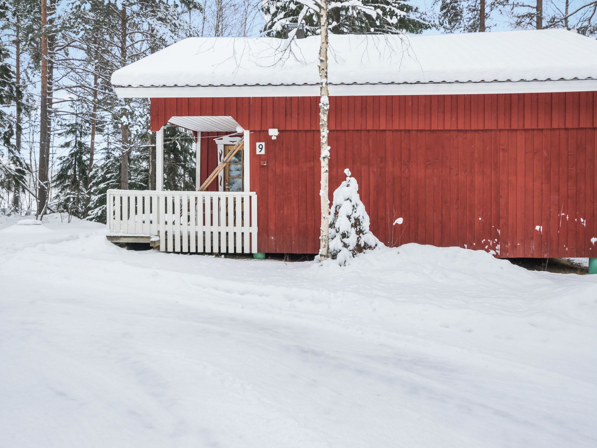 Eksteriør