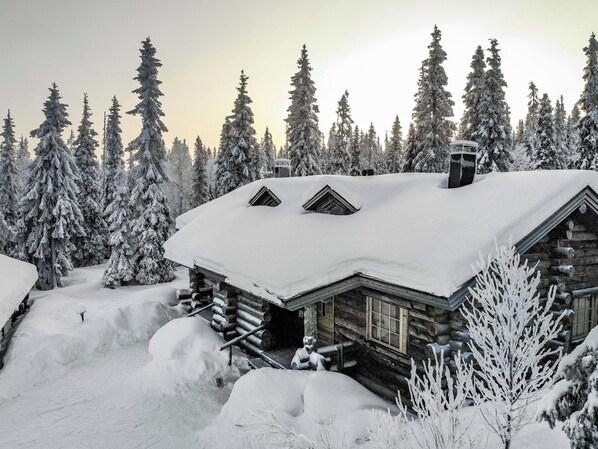 A log cabin with a snow-covered roof, surrounded by a forest of evergreen trees.