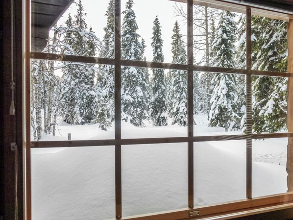 Una ventana con vistas a árboles cubiertos de nieve y un suelo nevado.