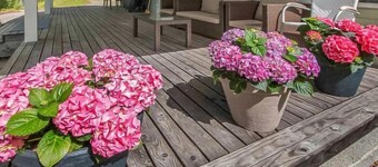 Villa sipilä by Interhome