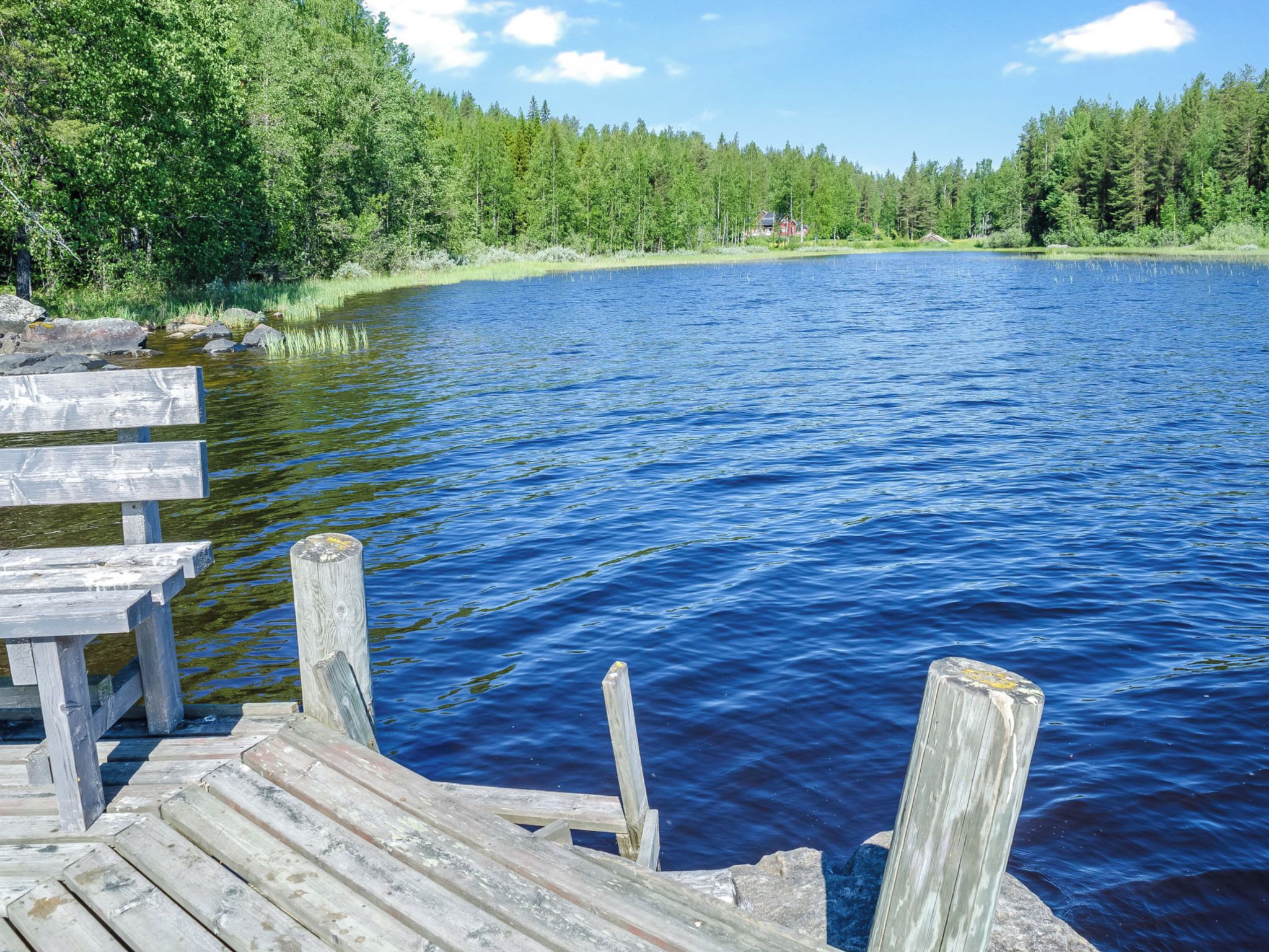 Un muelle de madera se adentra en un lago tranquilo rodeado de un bosque frondoso.