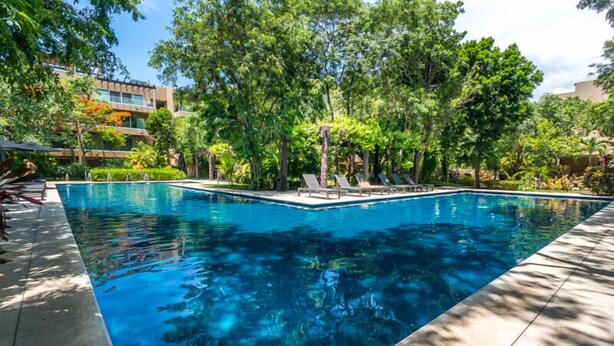 Uma piscina retangular com água azul cristalina, rodeada por árvores verdes e exuberantes e um deck revestido com azulejos.