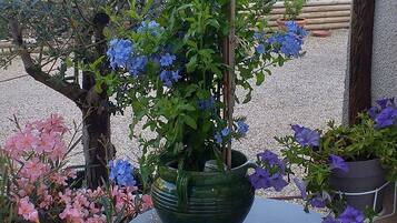 2 chambres, chambres insonorisées, Wi-Fi gratuit, draps fournis