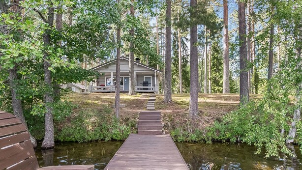 Een houten steiger die leidt naar een blokhut, omringd door hoge bomen en een rustig waterlichaam.