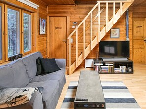 Televisio, DVD-soitin