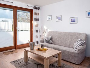 تلفزيون، مشغل دي في دي