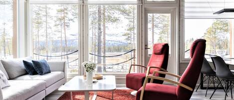 Televisio, DVD-soitin