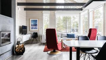 TV, fireplace, DVD player