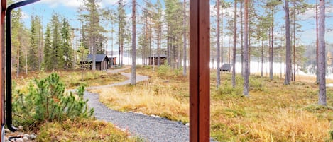 Une zone boisée avec un sentier de gravier menant à des chalets.