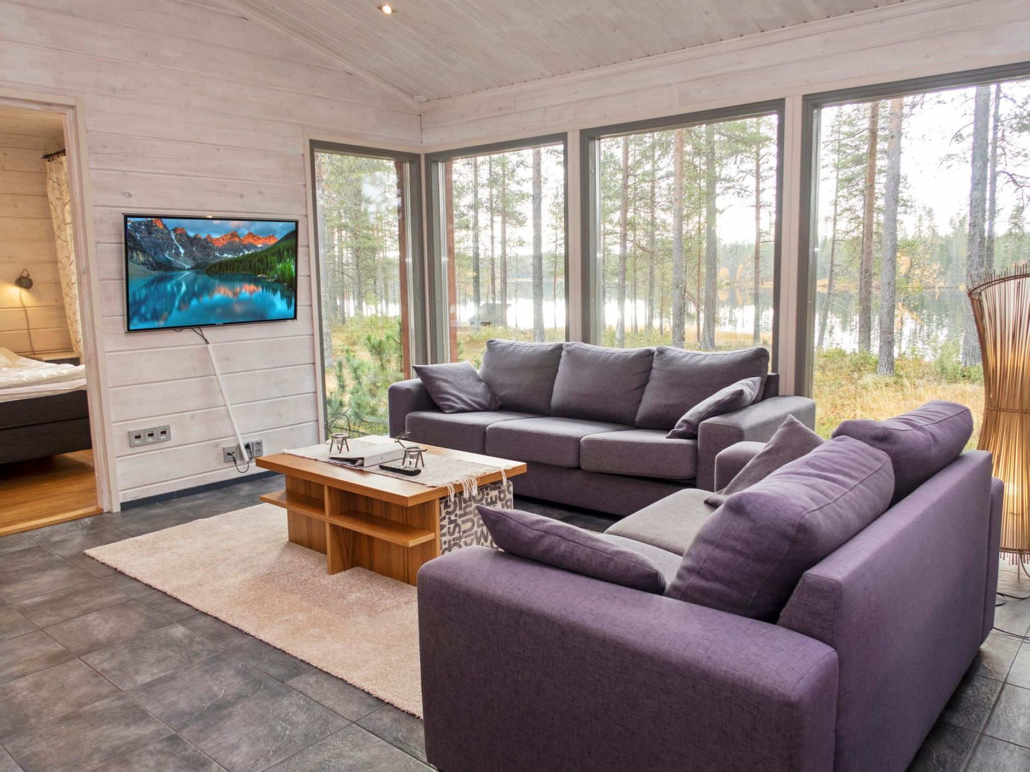 薄型テレビ、DVD プレーヤー