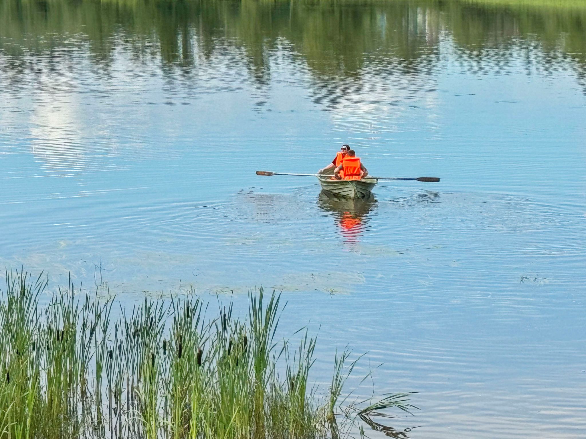 Une personne se trouve dans un bateau sur une étendue d’eau calme, avec des roseaux au premier plan.