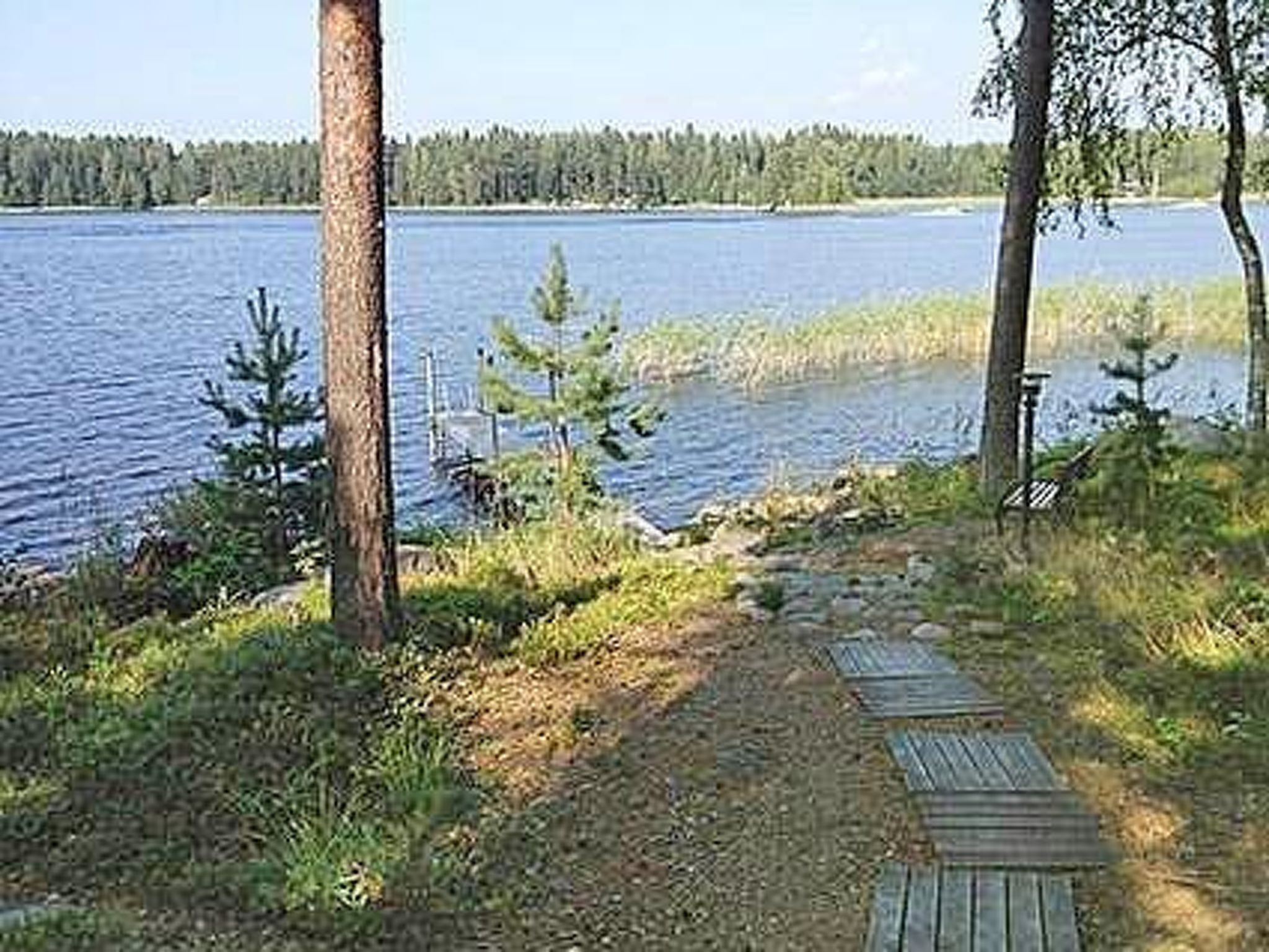 A wooden boardwalk leading to a lake with trees and a forest in the background.