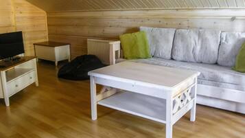 Televisio, DVD-soitin