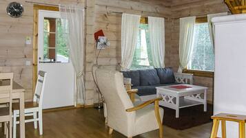 Televisio, DVD-soitin