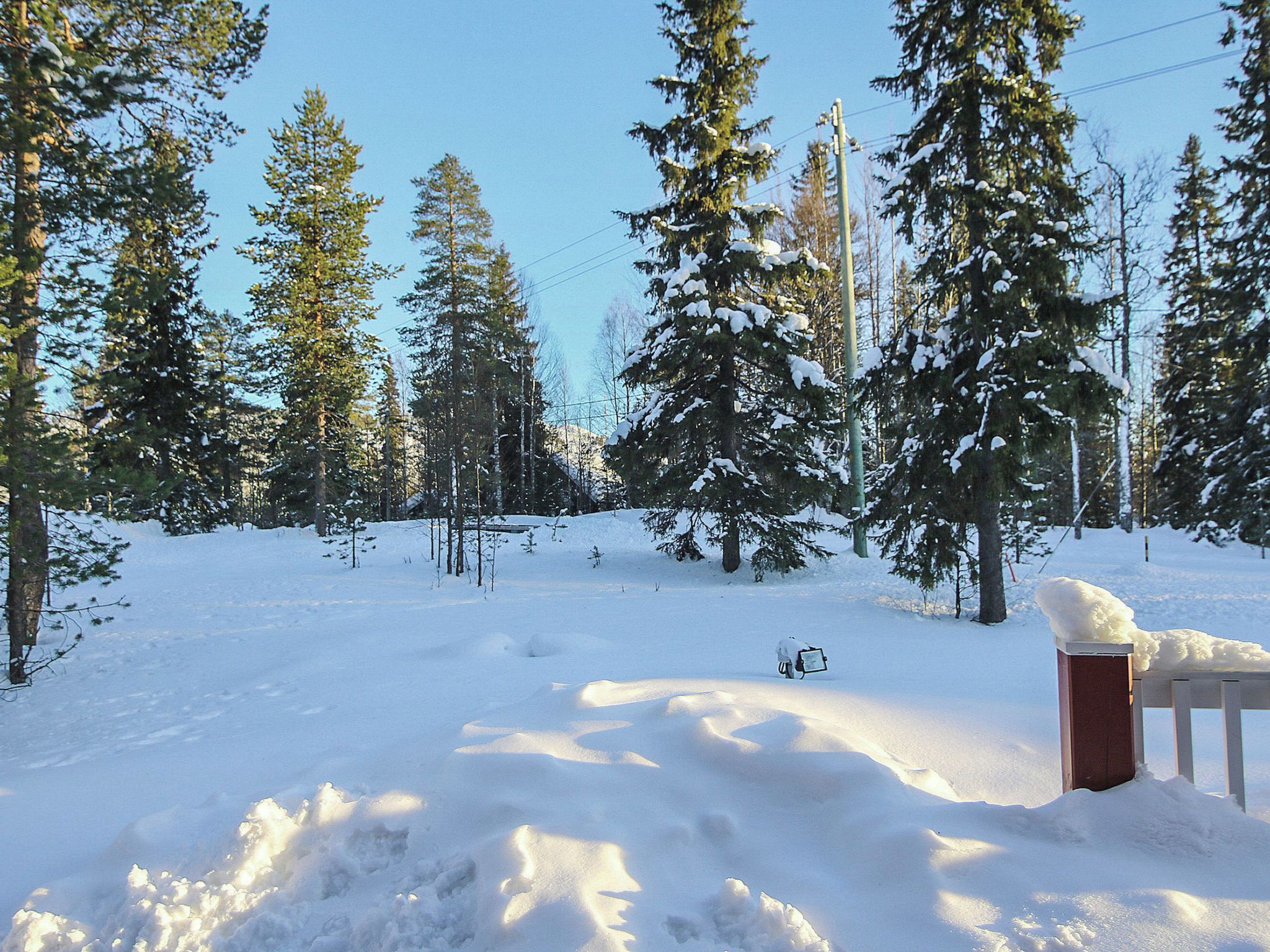 Un paysage enneigé avec des arbres et un banc.