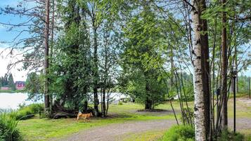 Un paysage naturel avec un lac, des arbres et un chien.