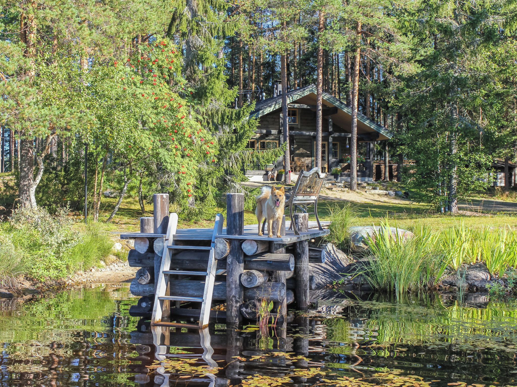 Un muelle de madera que se extiende sobre un estanque, con una cabaña al fondo.