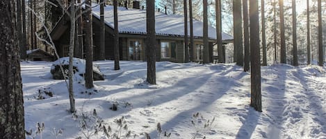 Eksteriør