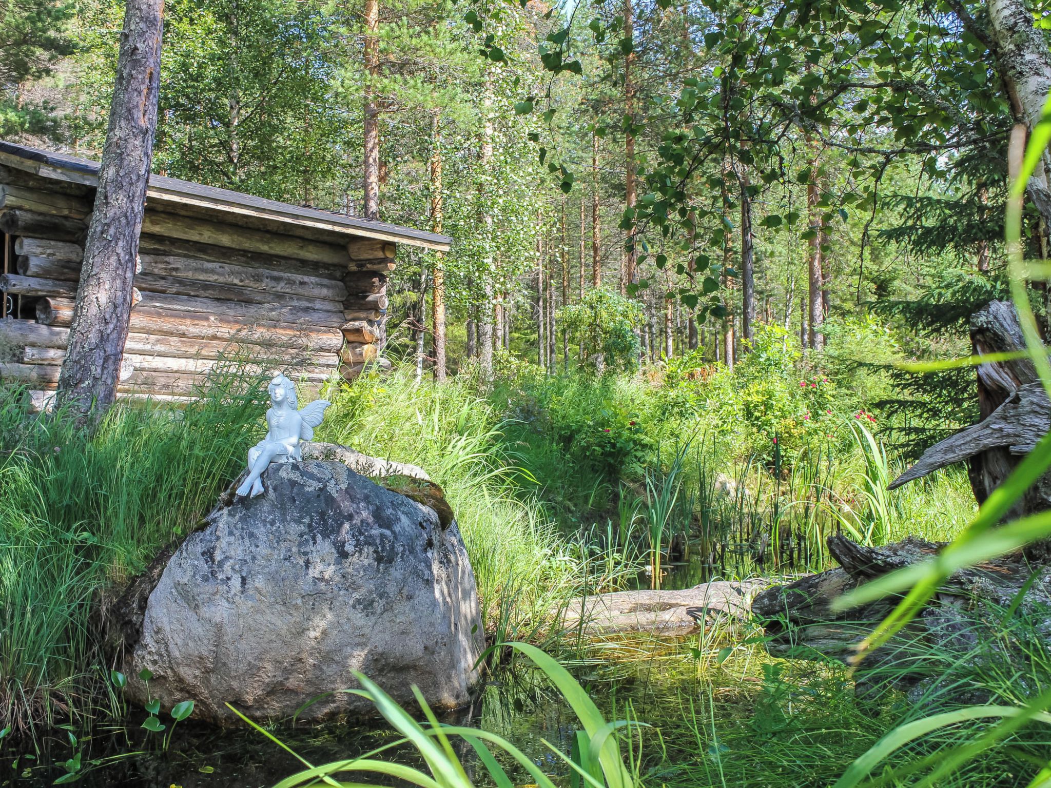 Una cabaña rústica rodeada de un bosque denso.