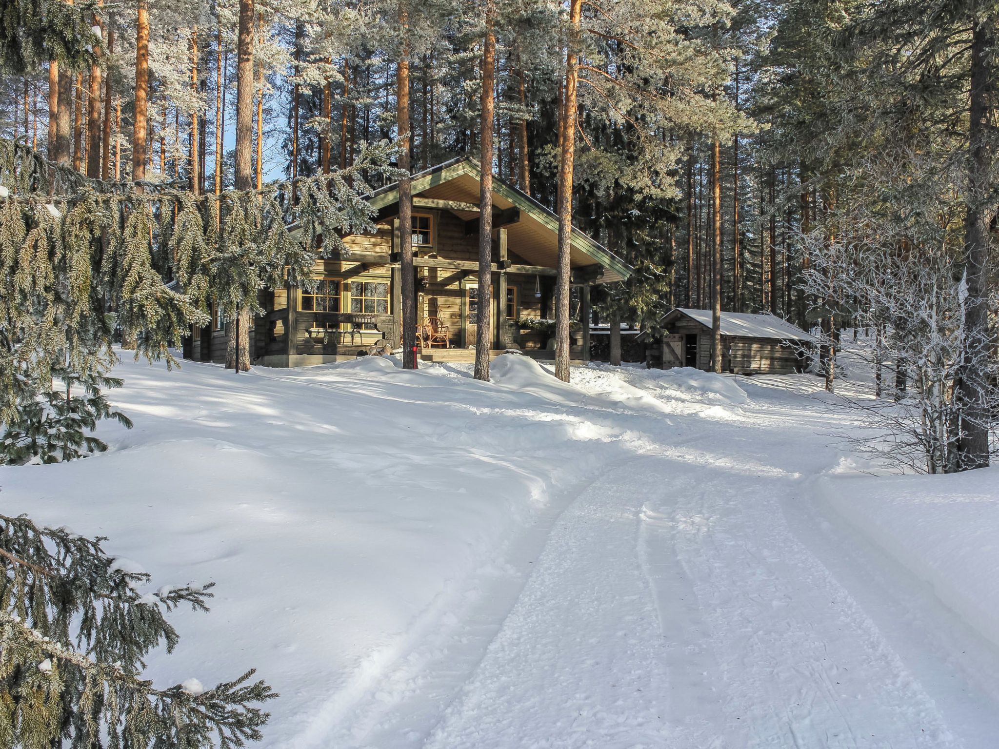 Una cabaña nevada con fachada de madera, rodeada de altos pinos.