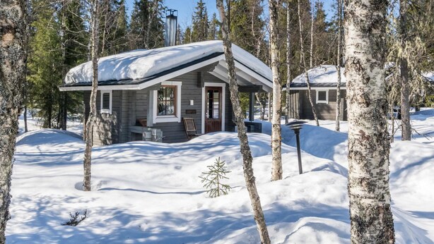A cabin with a covered porch, surrounded by snow-covered ground and birch trees.