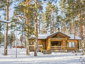 A wooden lodge with a covered porch and a fireplace, surrounded by tall pine trees in a snowy landscape.