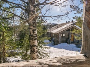 Exterior - Pihlakieppi 2 by Interhome (Kuusamo)