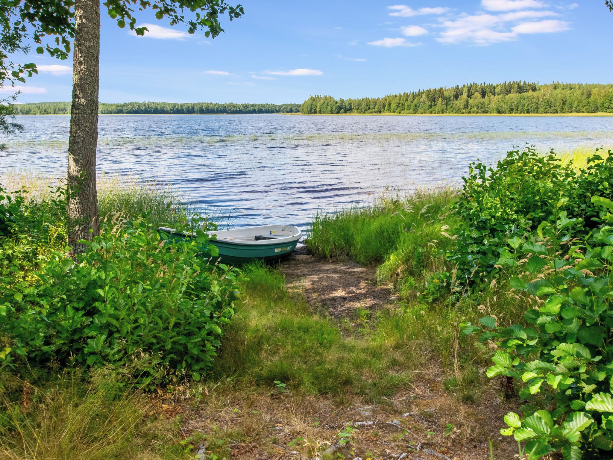 Un sentier longeant le bord du lac, avec un bateau amarré sur la rive, le tout entouré d’une végétation luxuriante.