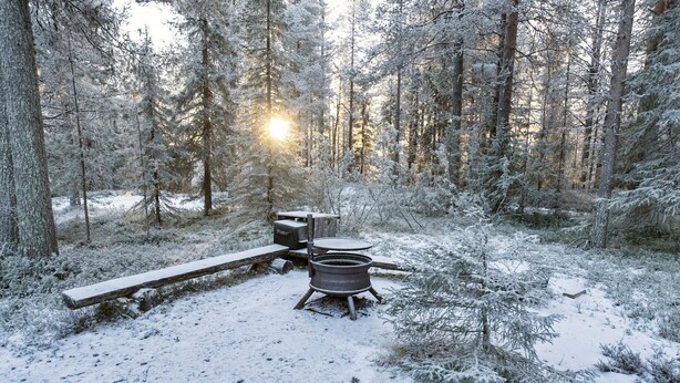 A snow-covered forest with a wooden deck and a metal stove.