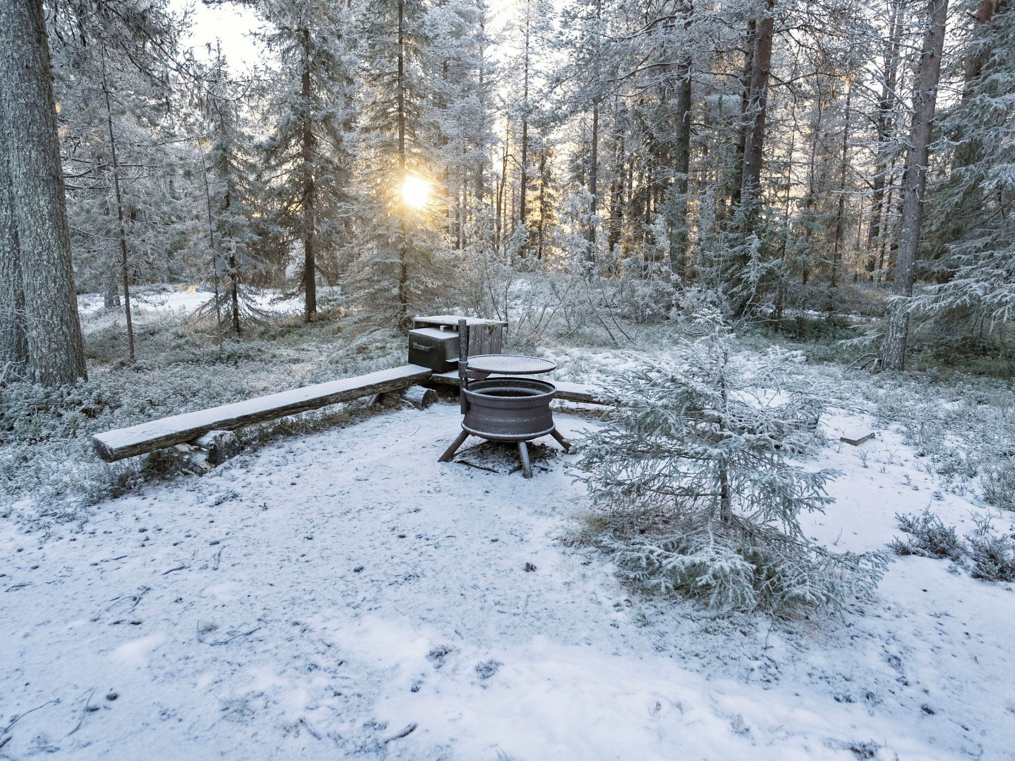 A snowy forest campsite with a metal stove, a wooden bench, and a picnic table.