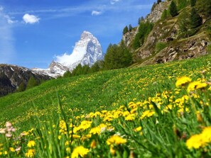 Een berglandschap met een opvallende piek, een weelderige groene weide en rotsachtig terrein.