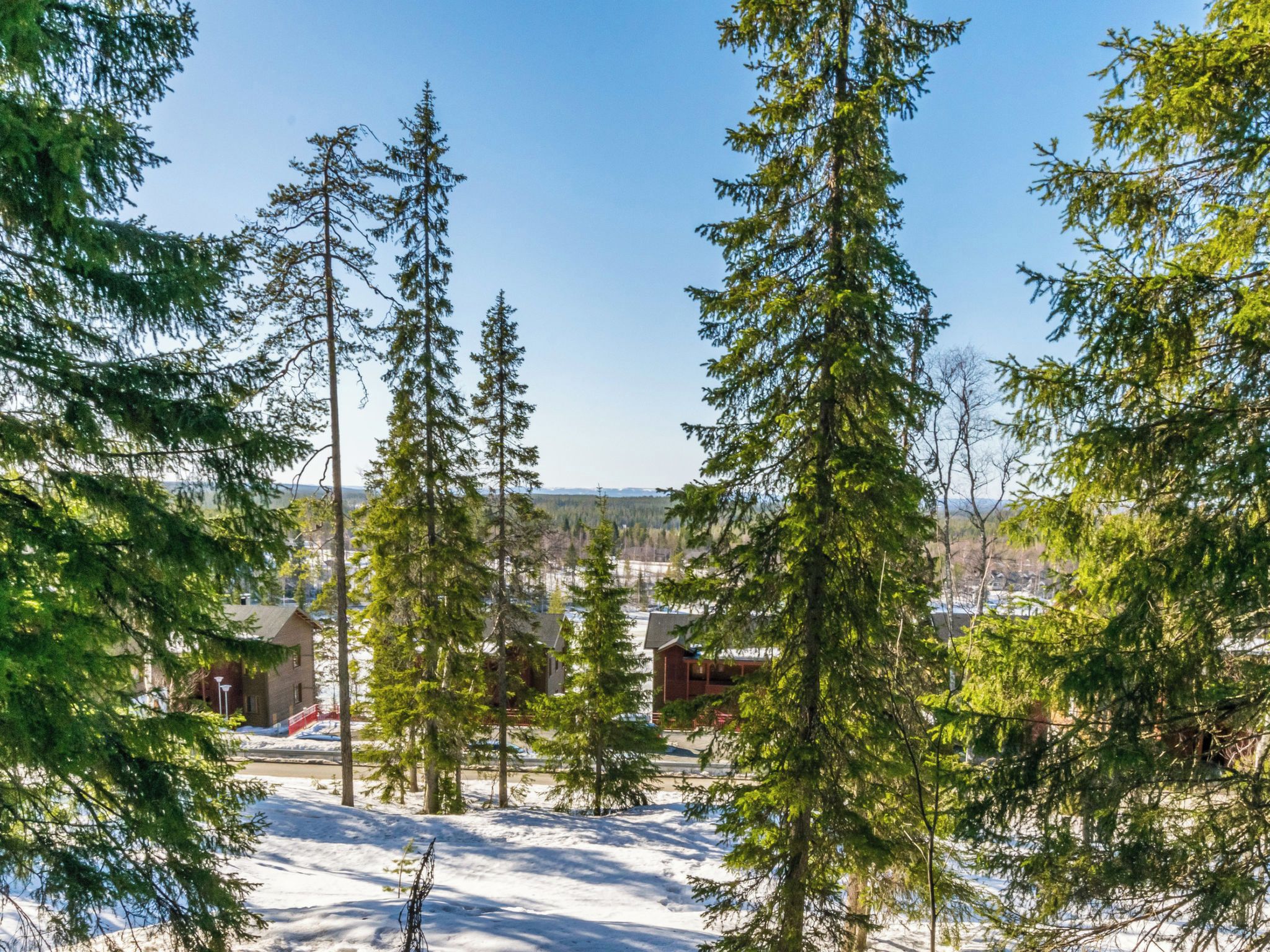 A snowy landscape with tall evergreen trees and a building with a red roof.