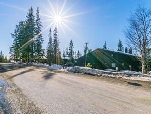 A gravel road leading to a building with a green roof, surrounded by trees and snow.
