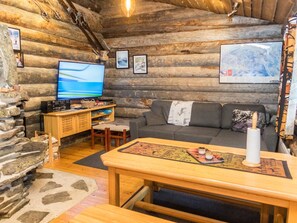 Televisio, DVD-soitin