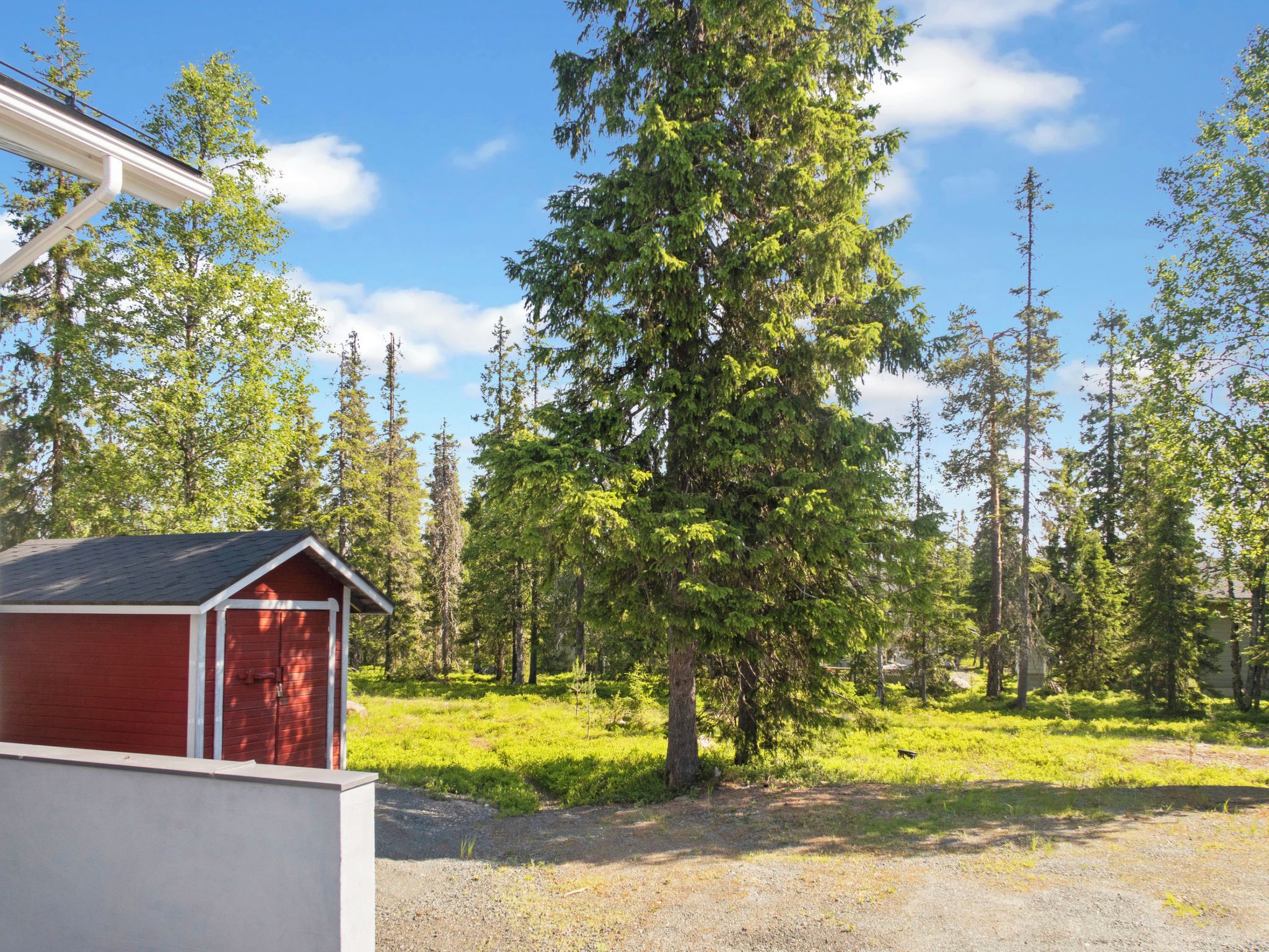 A red shed with a white door, surrounded by a grassy area with trees.