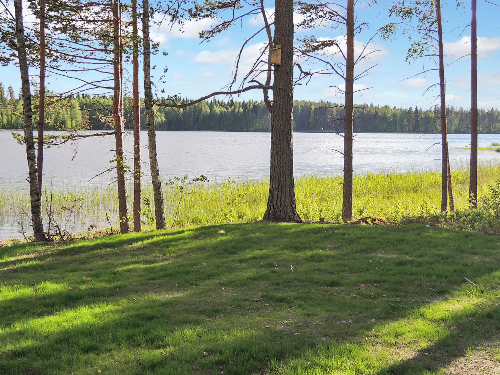 A lakeside view with a grassy area, trees, and a clear sky.
