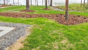 A lakeside park with a gravel path, grassy areas, and trees. - Nesterin helmi by Interhome (Eno)