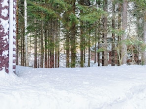 Une forêt enneigée, avec de grands arbres et une structure en bois.
