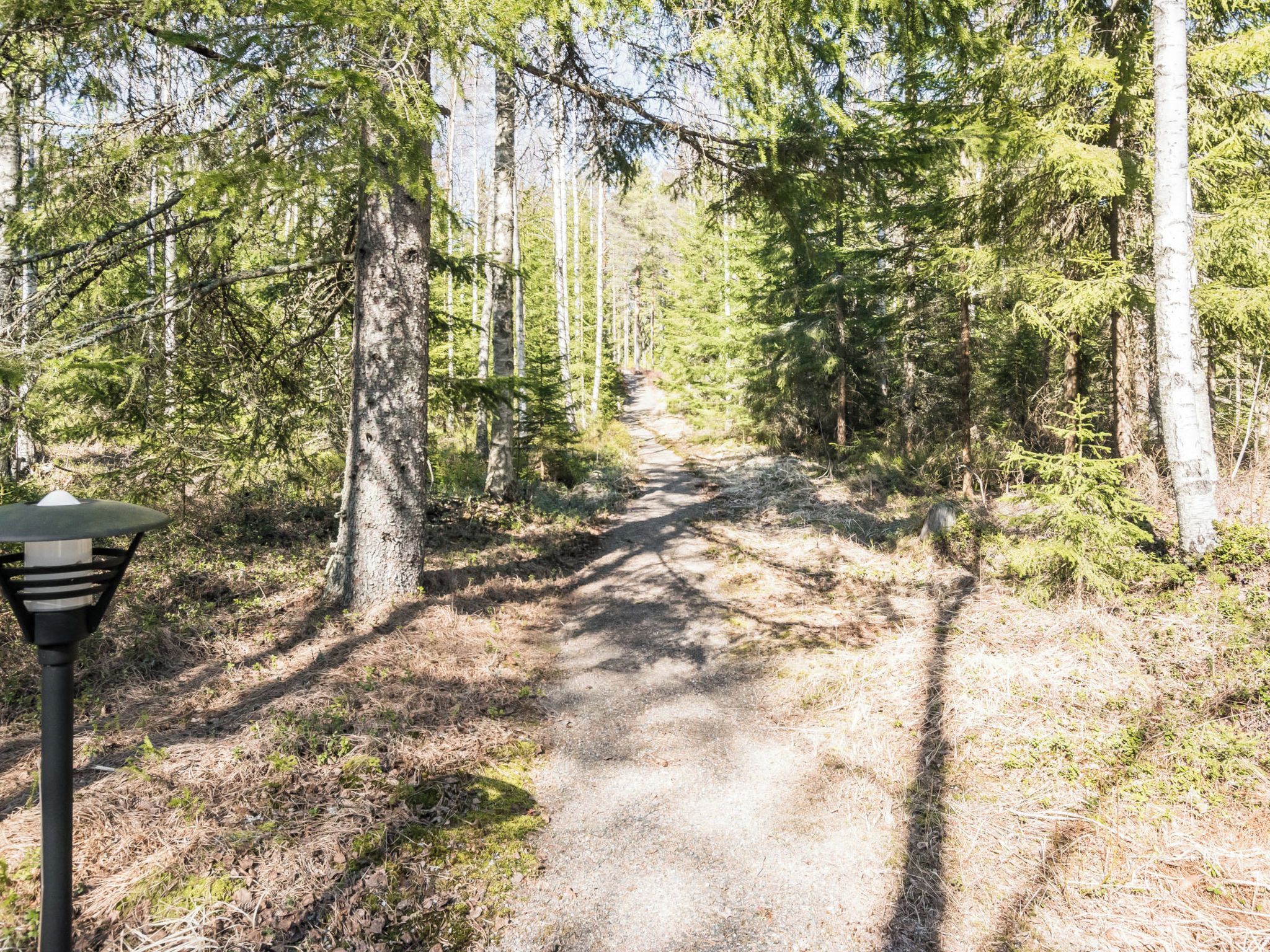 Metsäinen polku, jonka vasemmalla puolella on valaisinpylväs.