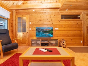 Televisio, DVD-soitin