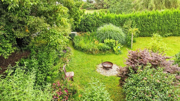Un jardin luxuriant, avec une grande variété de plantes et un petit foyer extérieur.