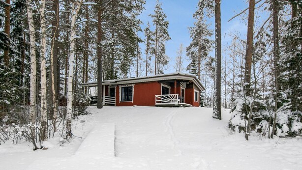 A cabin with a red exterior, white trim, and a porch with a white railing. It is surrounded by tall, snow-covered trees.