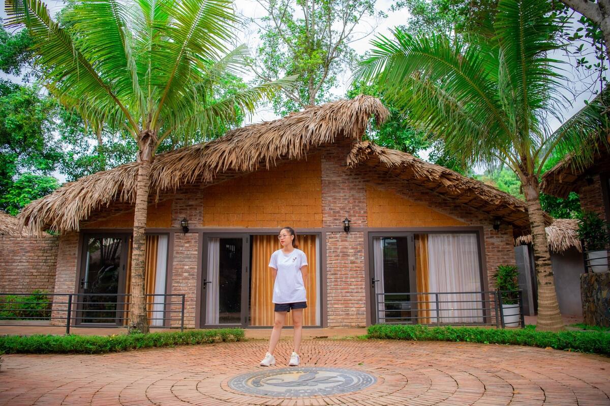 A brick building with a thatched roof, large windows, and a paved courtyard.