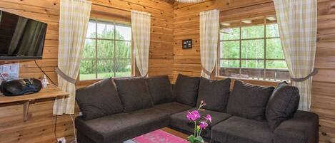 A cozy cabin interior with a sofa, a small table with a vase, and a television on a wooden shelf.