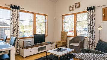 TV, fireplace, DVD player