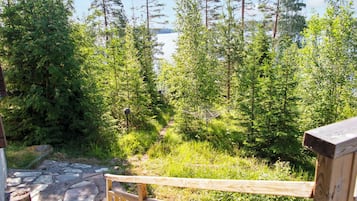 Ett trädäck med en stenlagd gång som leder till ett skogsområde.