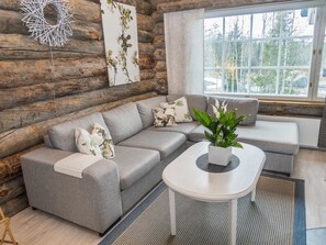 Televisio, DVD-soitin