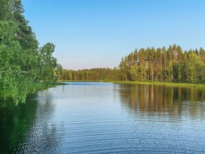 Un lago tranquilo rodeado de un bosque denso.