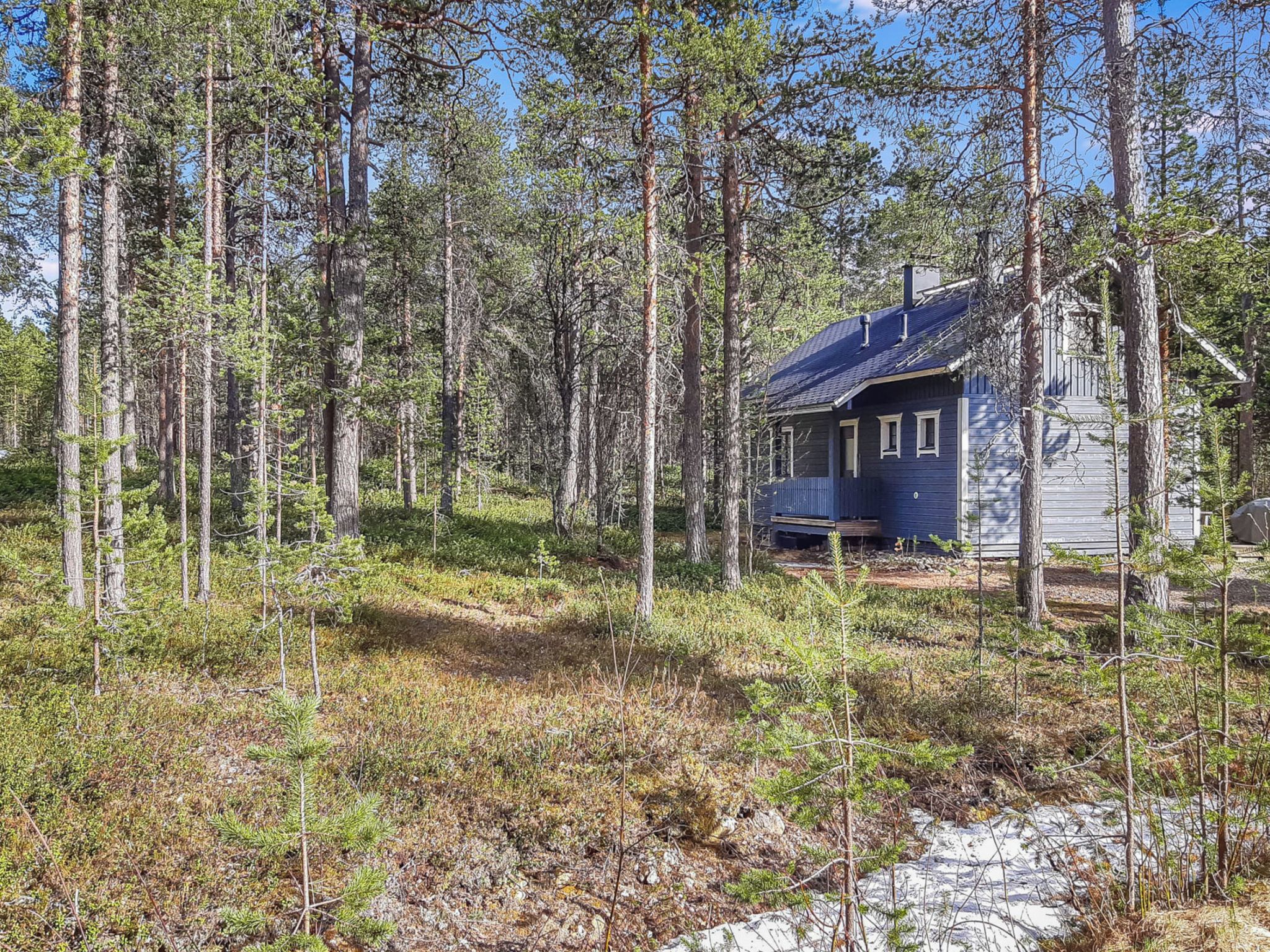 A cabin surrounded by tall trees in a forest.