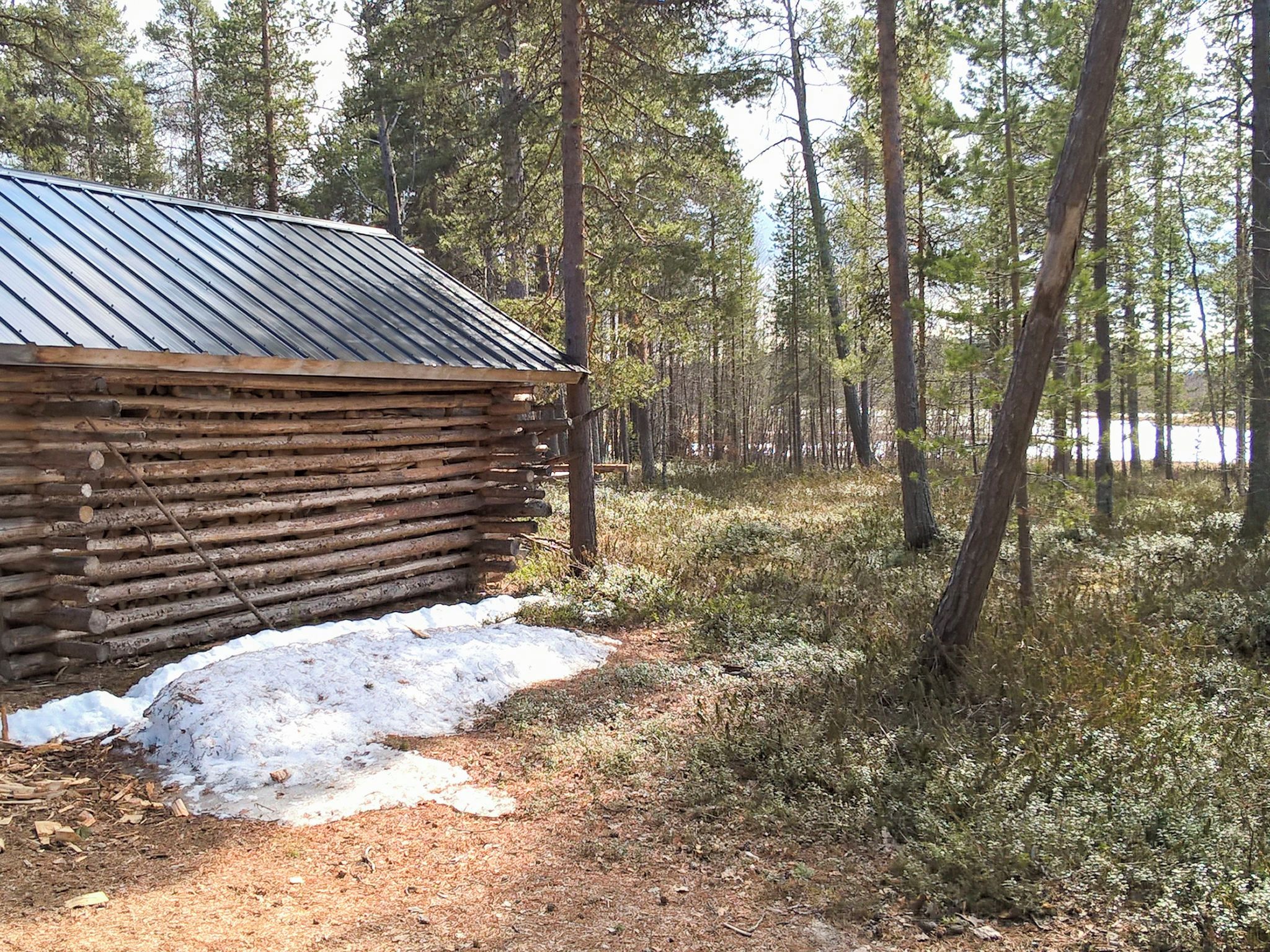 A log cabin with a metal roof, surrounded by a forest with tall trees and a snow-covered ground.